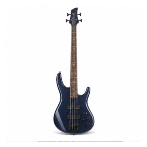 Foundation 4 Electric Bass
